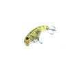 DUO YURAMEKI TETRA WORKS COLOR ADA0220 ASTRO RED HEAD