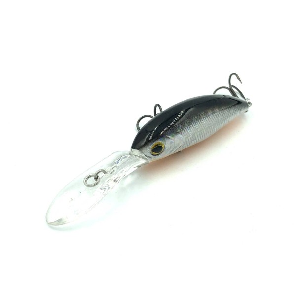 BERH TRENDEX MOONFLEET COLOR 02