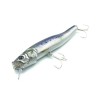 LITTLE JACK FORMA GLOSS STREAM IWASHI