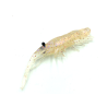 MAGBITE SNATCH BITE SHRIMP 4" COLOR 01