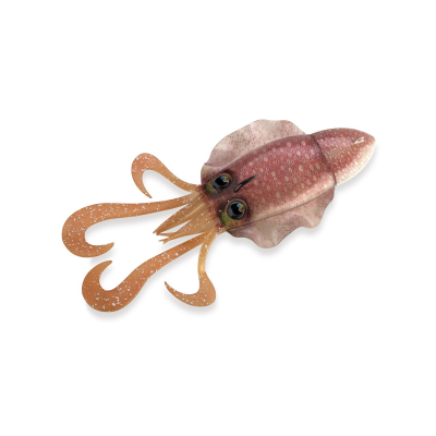 AKAMI SEPIADE JIG HEAD 120 GRS COLOR GHOST PINK