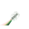 JIBIONERA AKAMI ZENTTAI EGI 3.0 COLOR GP