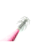 JIBIONERA AKAMI ZENTTAI COLOR PP