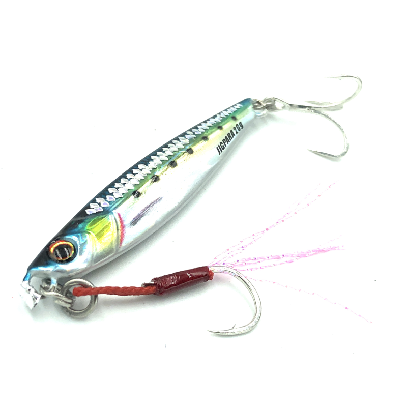 MAJOR CRAFT JIGPARA SHORT 30 COLOR 81 LIVE KIN IWASHI
