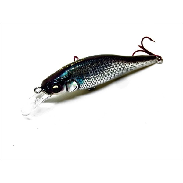MEGABASS X-80 SW BORA