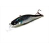 MEGABASS X-80 SW BORA