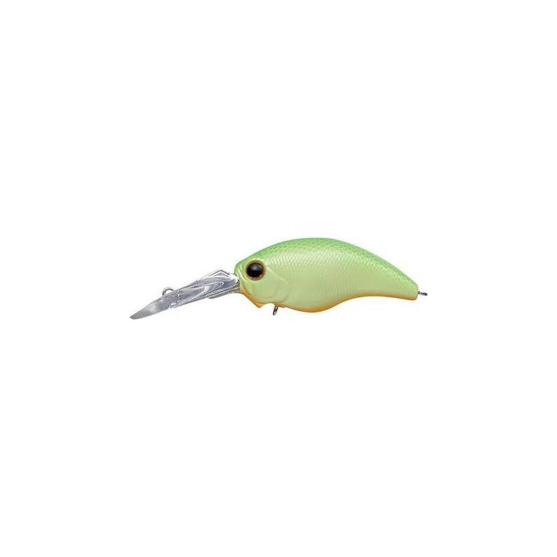 EVERGREEN RATTLE IN COLOR 243