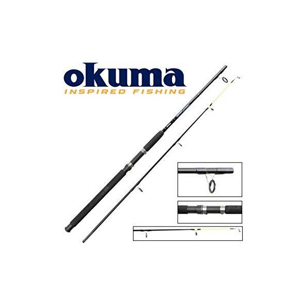 CAÑA OKUMA G-FORCE SEABOAT 210